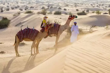 Camel Riding Tour