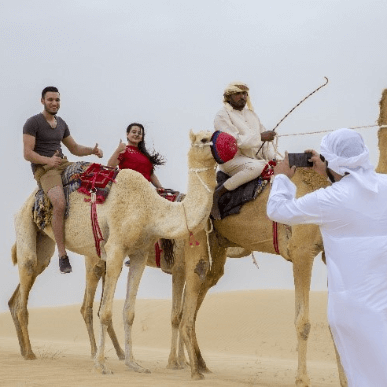 Dubai camel ride