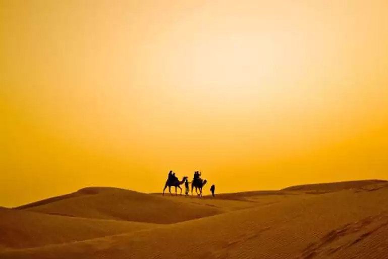 Camel Safari in Dubai