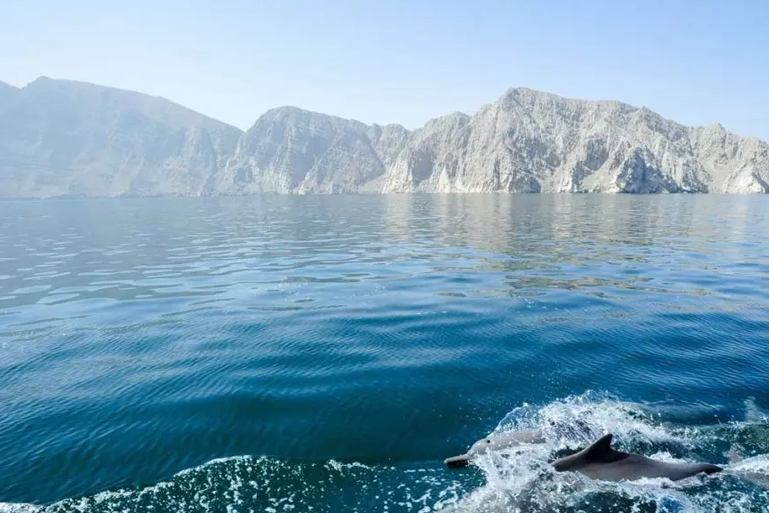 Luxury Musandam Khasab trip and Overnight Stay in Yacht 