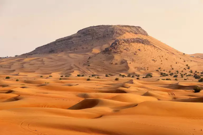 Morning Desert Safari in Dubai