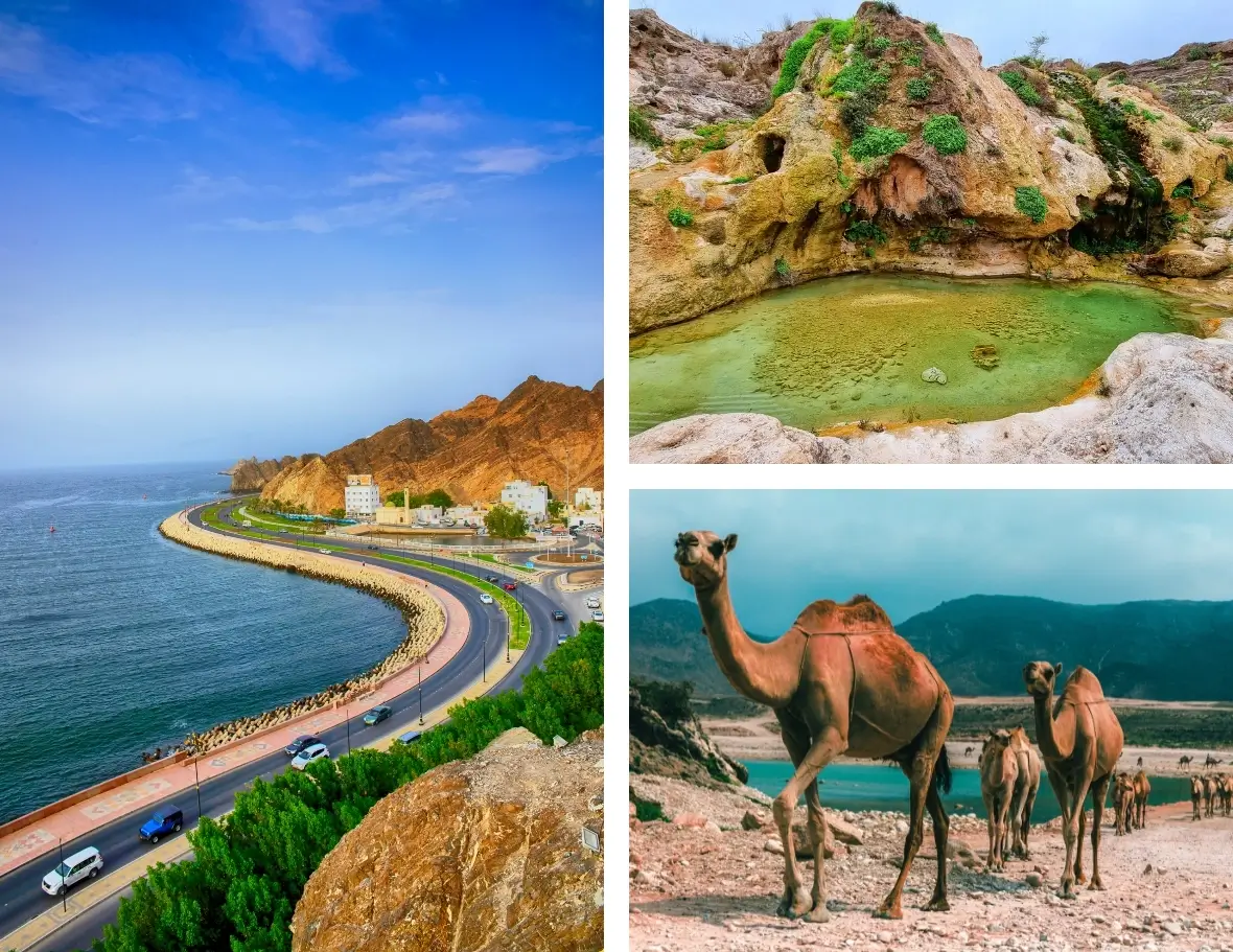Adventures in Nature of Salalah