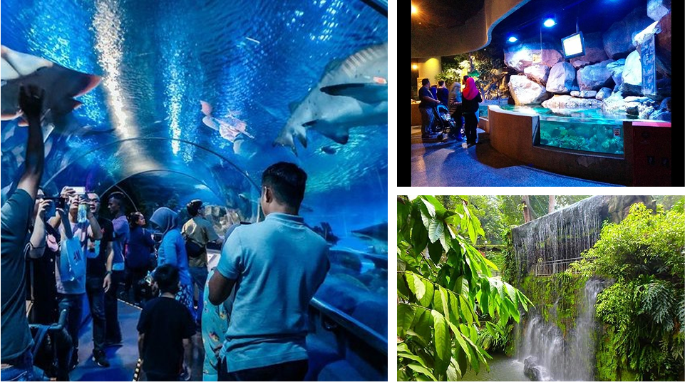 Aquaria KLCC & Bird Park