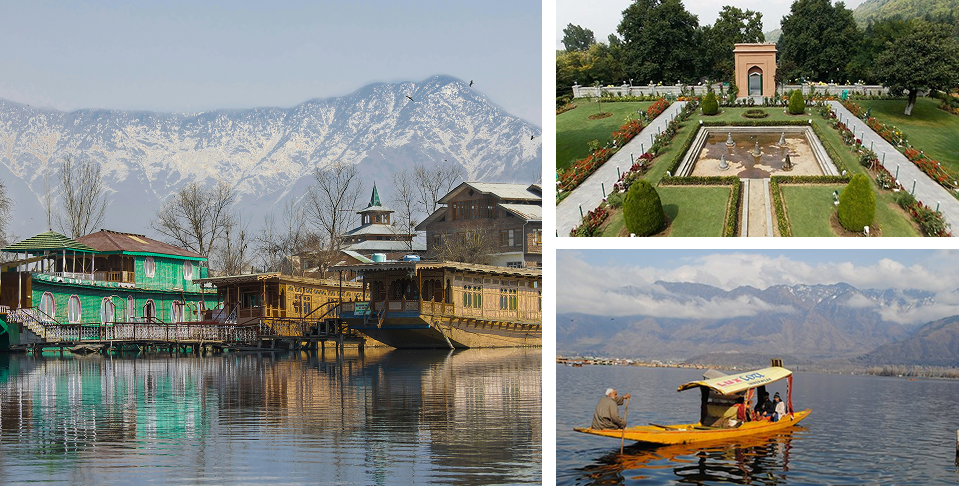 Arrival Srinagar