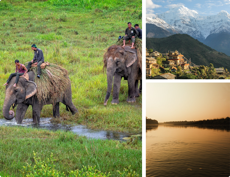 Chitwan National Park Nepal