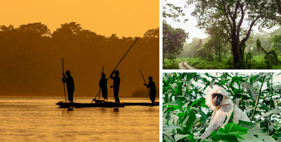 Jungle Adventure at Chitwan National Park