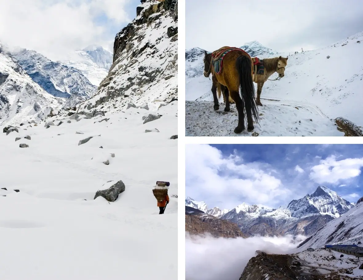 Guided City Tour  to Chele La Pass