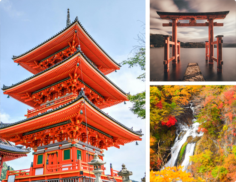 Japan Spring Tour