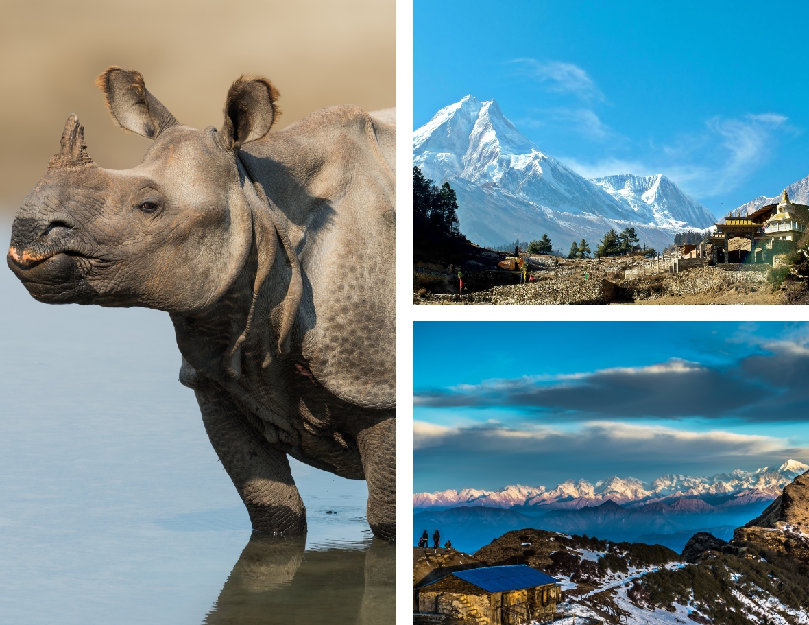 Jungle Safari and Drive to Pokhara