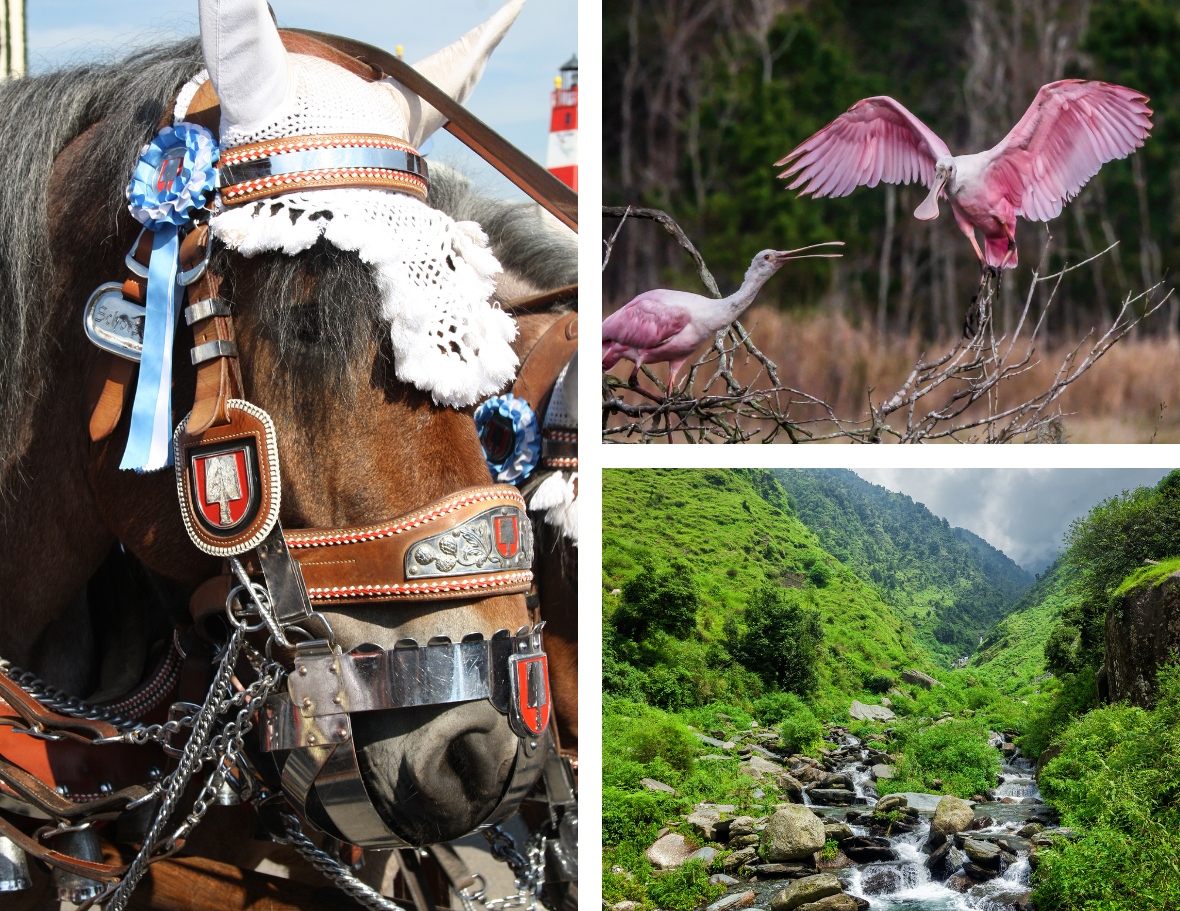 Kathmandu Heritage City Tour and Drive to Nagarkot