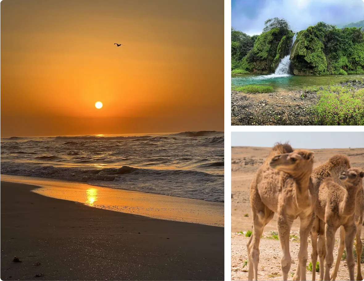 Discover Khareef Season in Salalah