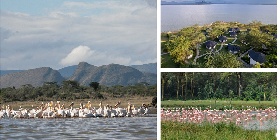 Maasai Mara- Lake Elementaita
