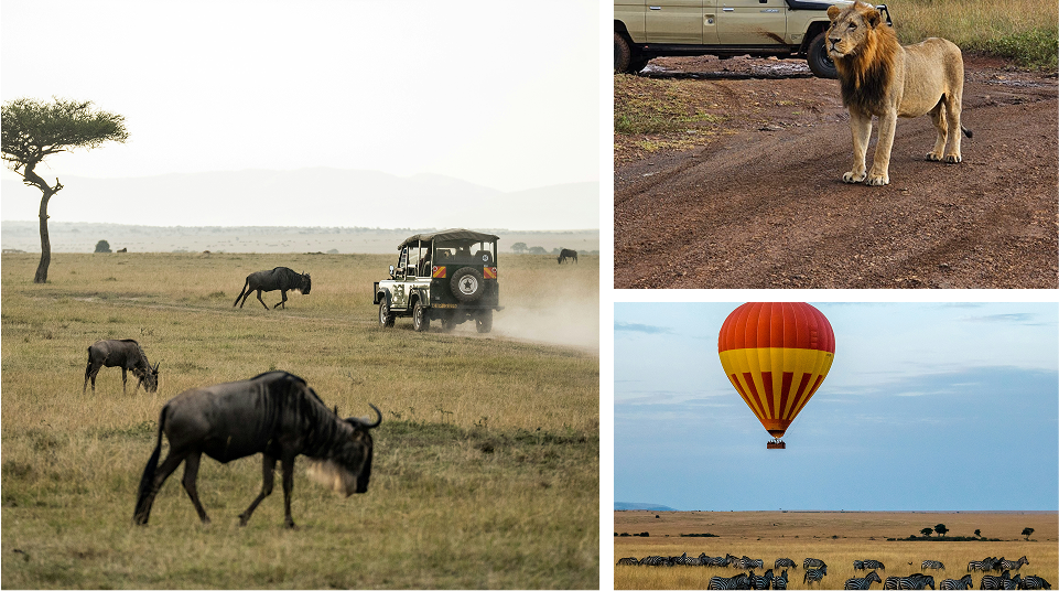 Masai Mara Adventure 