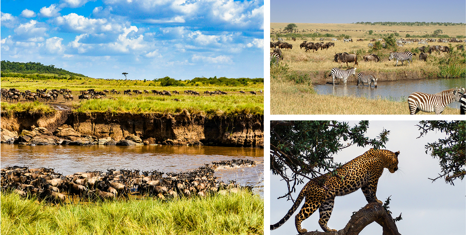 Masai Mara National Reserve from Nairobi