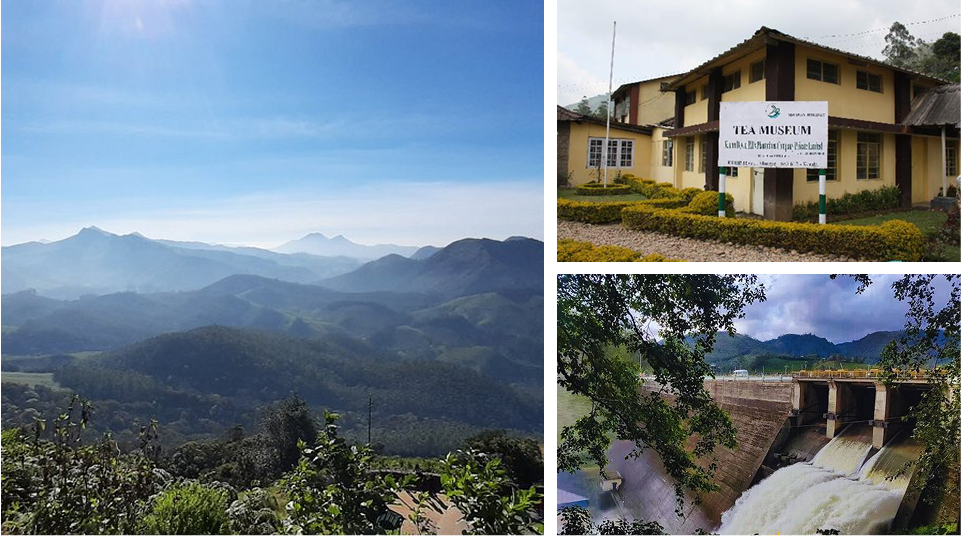 Munnar Sightseeing