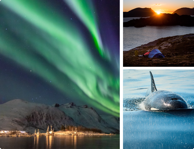 Super Saver Norway Holiday Package