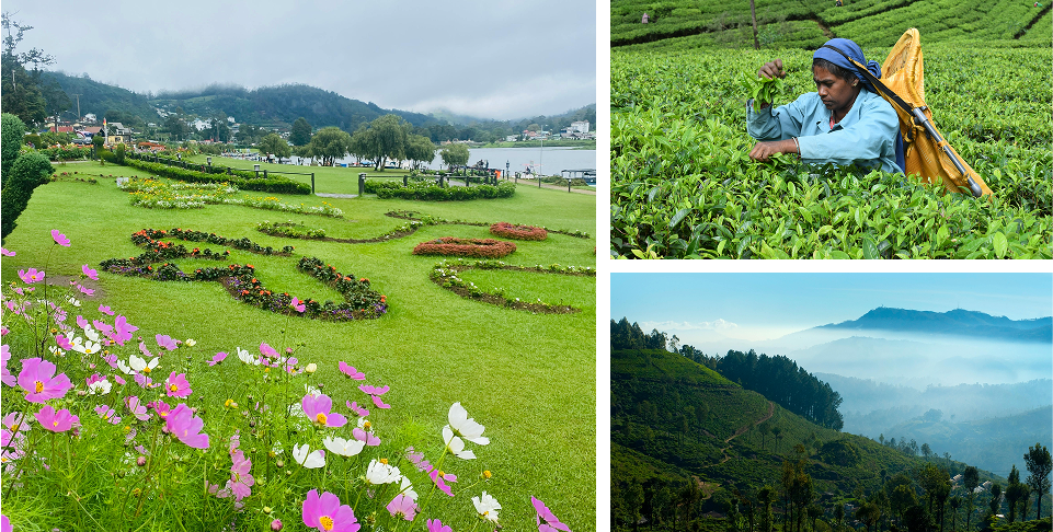 Kandy to Nuwara Eliya