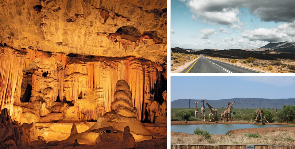 Discover the Wonders of Oudshoorn