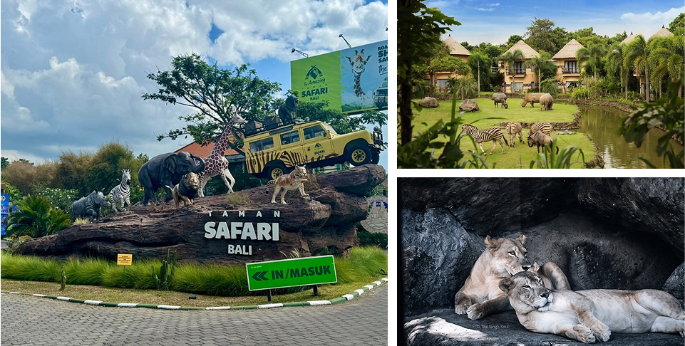 Full day D BALI SAFARI MARINE PARK (Jungle Hopper) - [Exclude meal] - [B]