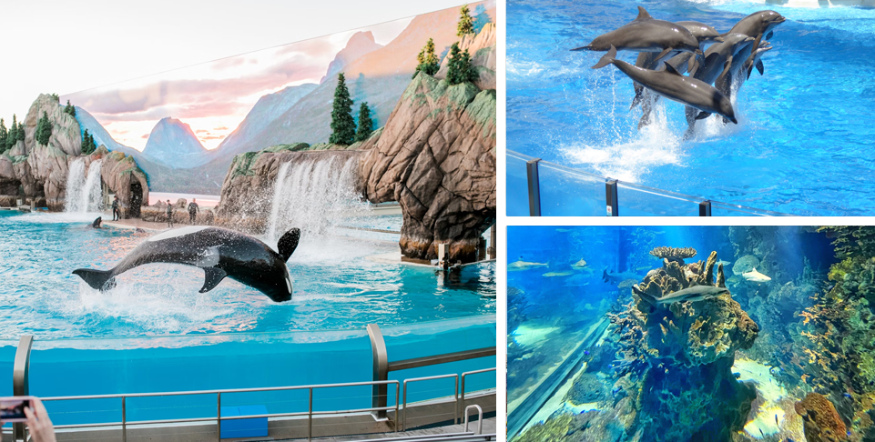 SeaWorld, Orlando