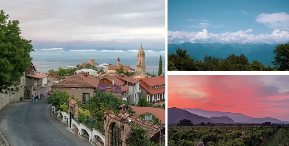 A winery tour in Sighnaghi and Kakheti