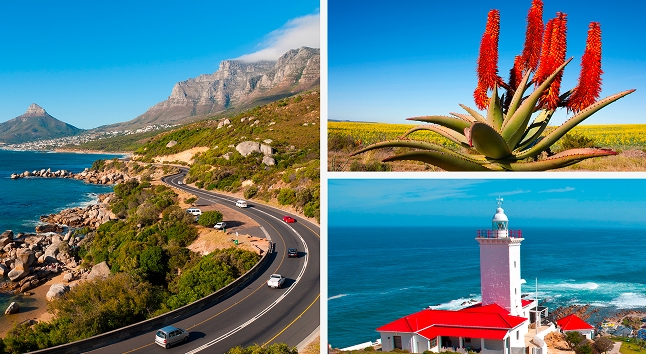 To Mossel Bay Via Aloe Factory