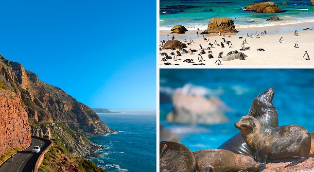 Peninsula Adventure