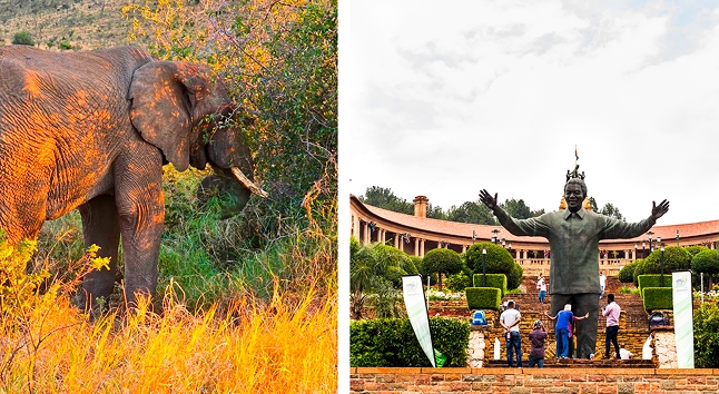 A Leisurely day at Sun City