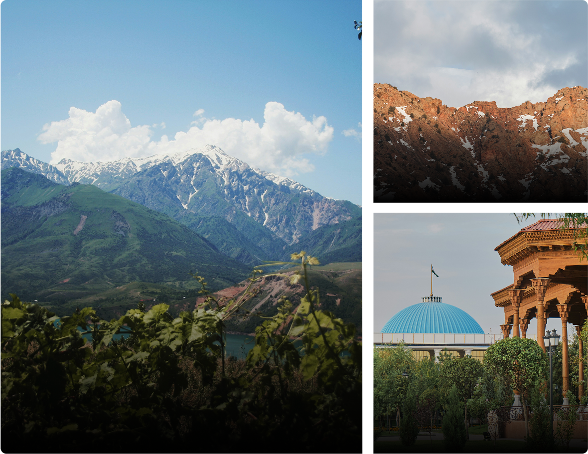 Best of Tashkent