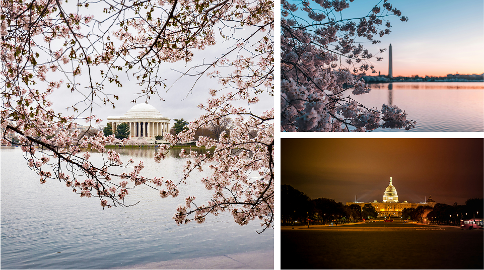 New York to Washington D.C.