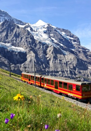 Swiss-Italy Delights