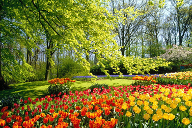 SPRING DEPARTURE -AZERBAIJAN