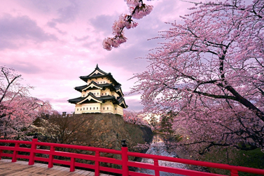 SPRING DEPARTURE - JAPaN