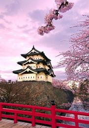 SPRING DEPARTURE - Japan