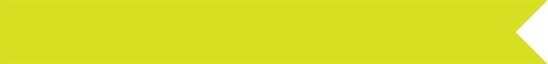 yellow flag icon