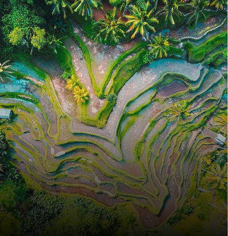 Celebrate Indonesia Eid Special Holiday Tour