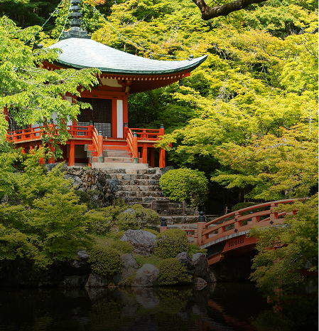 Explore Japan Spring Special Holiday Tour