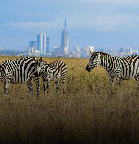 Book Kenya Summer Special Holiday Tour