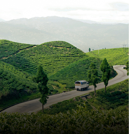 Explore Nepal Chitwan Park Holiday Tour