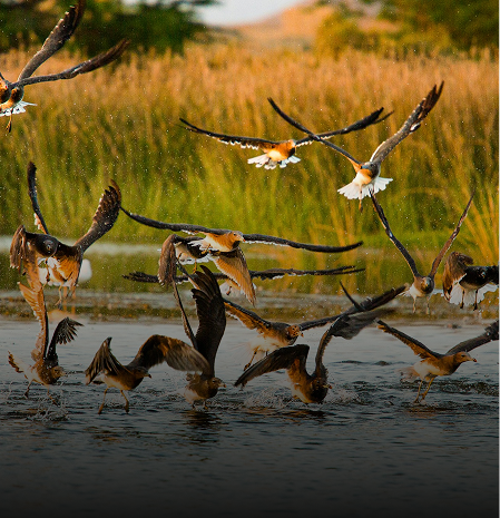 Celebrate Salalah Eid Special Holiday Tour