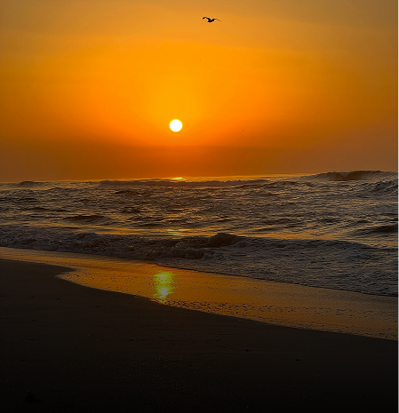 Salalah Khareef Special Holiday Tour