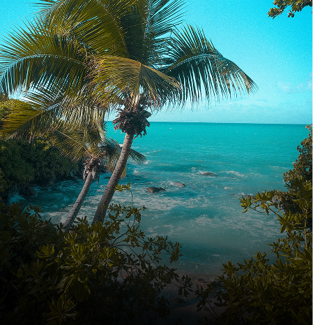 Celebrate Seychelles Eid Special Holiday Tour