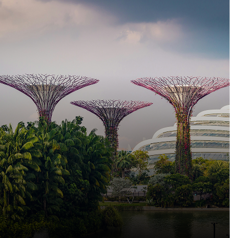 Singapore Daily Special Holiday Tour