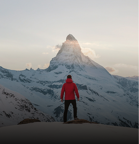 Swiss French Delights