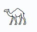 Quick Camel Ride