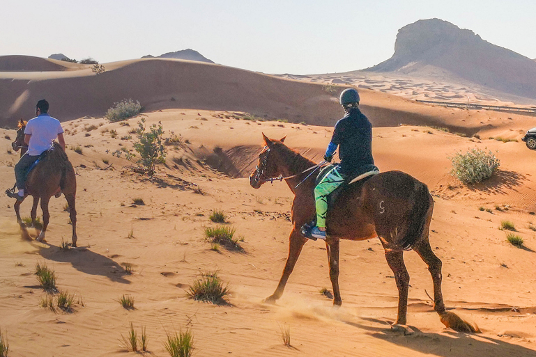 Desert Horse Riding Sharjah