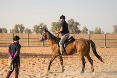 Desert Horse Riding Sharjah