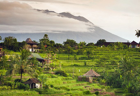 Explore Bali arooha tours