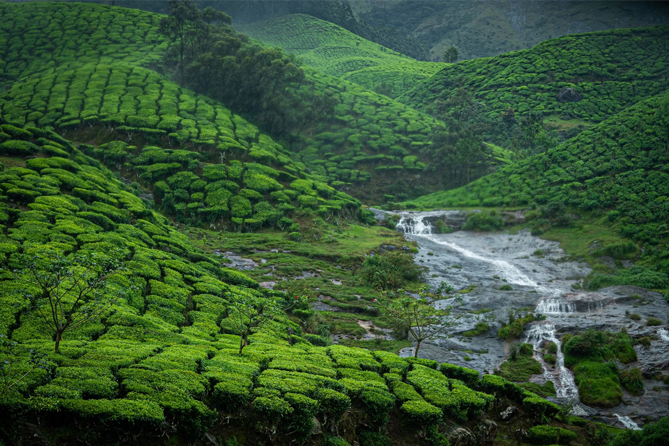 God's Own Kerala