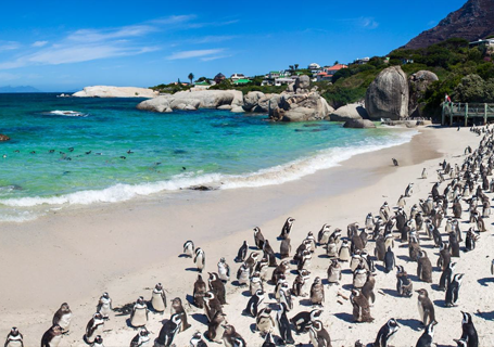 Highlights of south africa